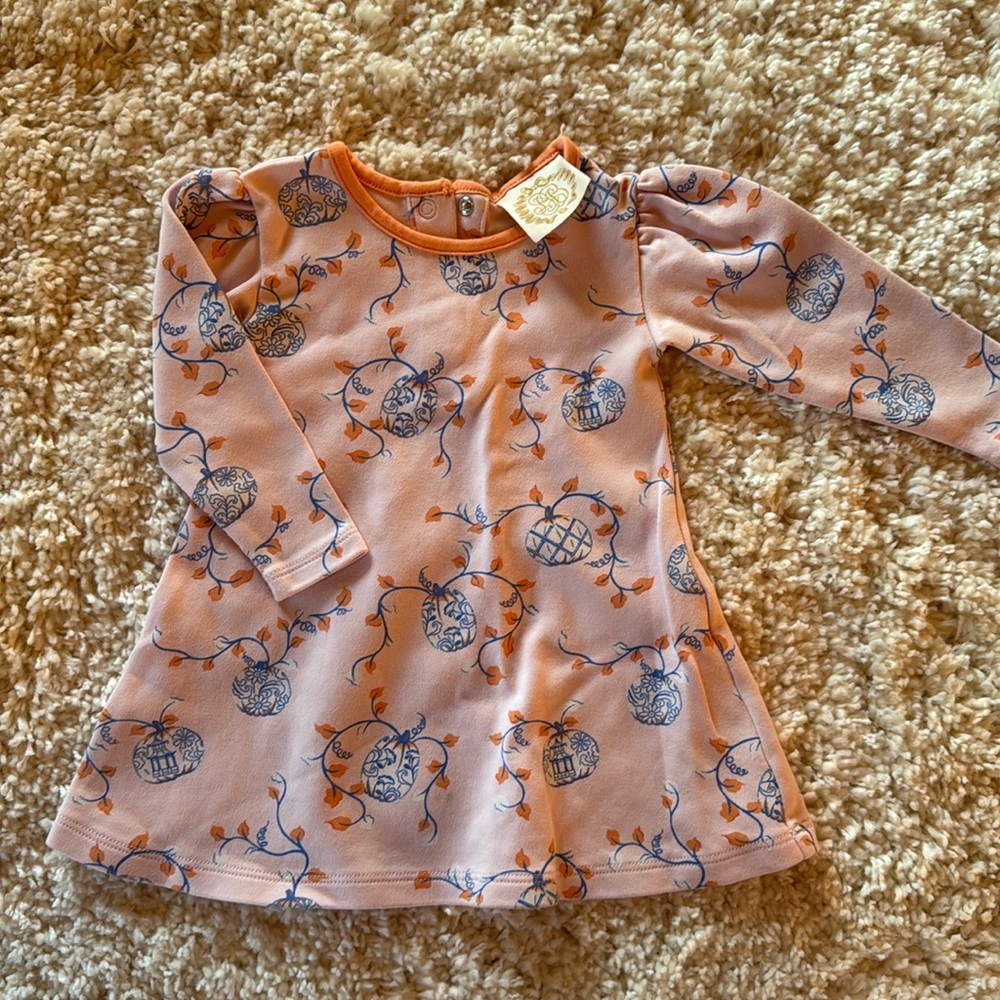 TBBC whimsical fall dress